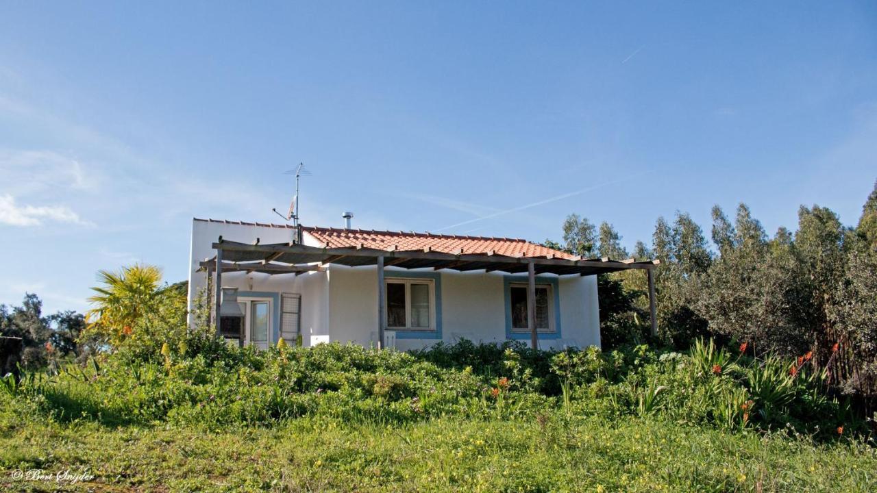Monte Horizonte - Turismo Rural - Adults Only Santiago do Cacém Exterior foto